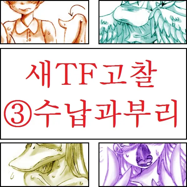 Tori TF Ni Kansuru Kousatsu To Renshuu | Study And Practice About Bird TF
